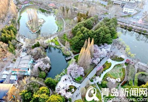 中山公园最新爆料信息,神秘古建筑群惊现，历史之谜待解  第1张