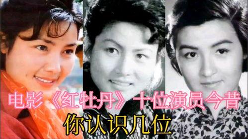 电影红牡丹在线观看,传奇人生,光影交织 第3张 电影红牡丹在线观看,传奇人生,光影交织 第3张