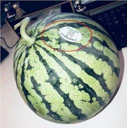 八卦吃瓜网红最新,揭秘娱乐圈幕后风云 第2张 八卦吃瓜网红最新,揭秘娱乐圈幕后风云 第2张