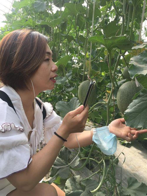 新疆吃瓜网红叫什么名字,瓜界新宠,带你领略西域风情 第3张 新疆吃瓜网红叫什么名字,瓜界新宠,带你领略西域风情 第3张