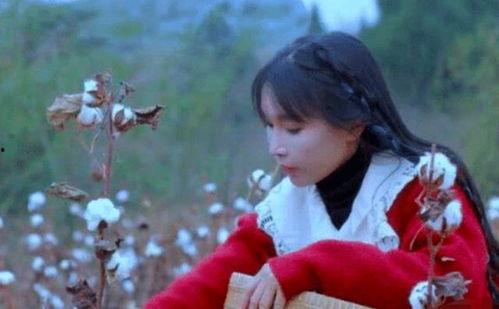 李子柒被爆料假吃视频